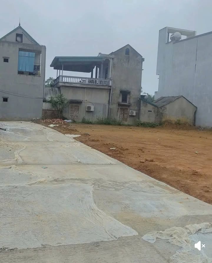 Đất nền Phú Hộ, Phong Châu 113.5m² giá chỉ 400 triệu - Cơ hội đầu tư tuyệt vời!