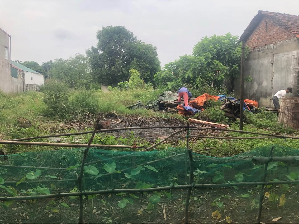 Đất nền chính chủ tại phường Âu Cơ, 110m² giá 700 triệu - Cơ hội đầu tư tuyệt vời!