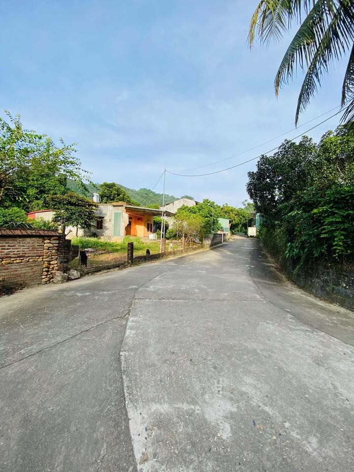 Đất chính chủ Ỷ La 84m² giá 1 tỷ - Tình hình cần bán gấp!