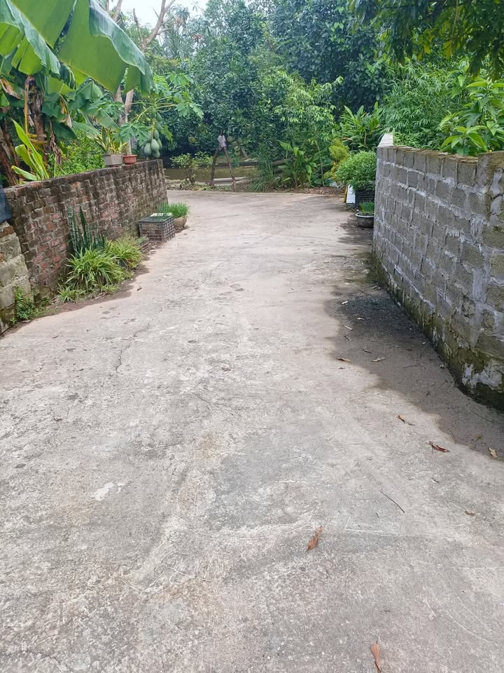 Đất nền góc 90m² tại Đốc Tín, Hương Sơn, Mỹ Đức - Hướng Đông Nam đẹp, giá thỏa thuận!