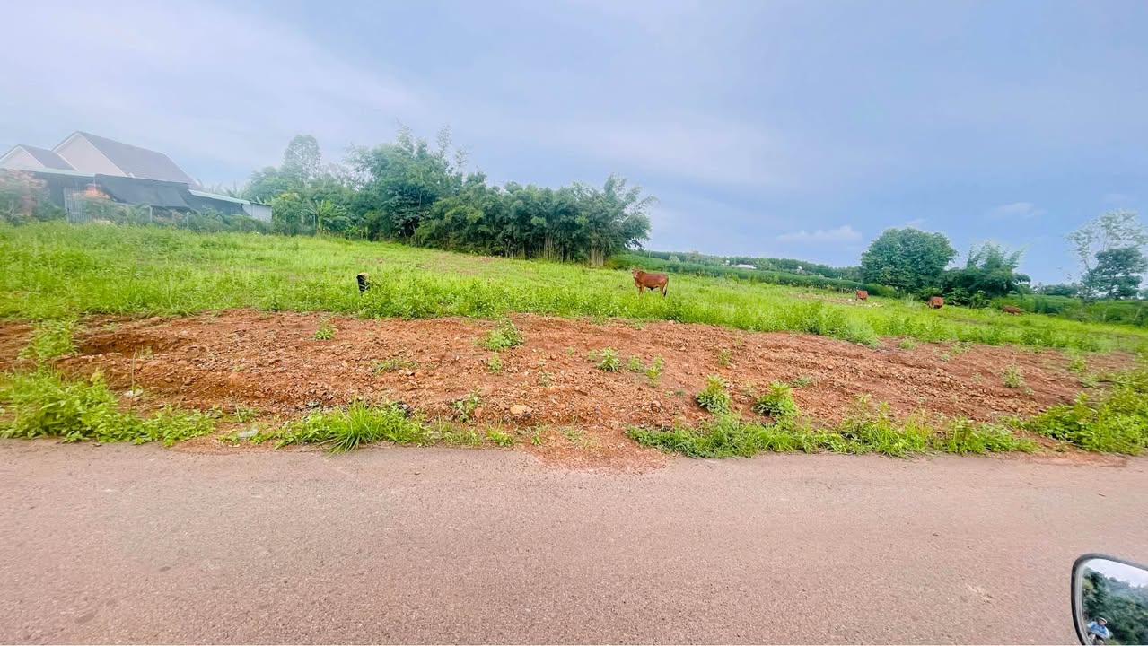 Đất mặt tiền đường nhựa 7m - Phước Long Thọ, Đất Đỏ, 1000m² - Giá chỉ 1.6 tỷ, thương lượng!