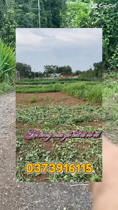 Đất nền Xuân Đông Cẩm Mỹ 125m² giá thỏa thuận - Cơ hội đầu tư hấp dẫn!