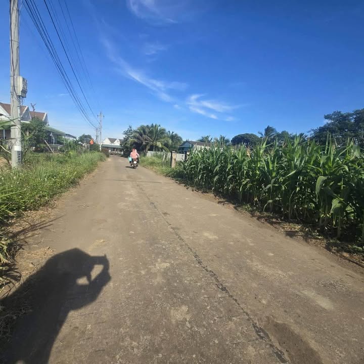 Đất nền thổ cư Ea Bar 1340m² giá 1.45 tỷ - View cánh đồng mát mẻ!