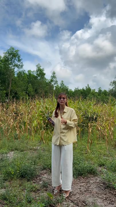 Đất nền KCN Sơn Mỹ 1048m² giá tốt - Có thể tách lẻ dễ dàng!