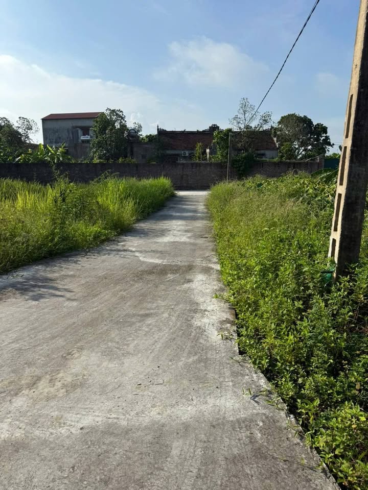 Đất nền xã Xuân Lai, Gia Bình 111m² giá 1.9 tỷ - Cơ hội đầu tư hiếm có!