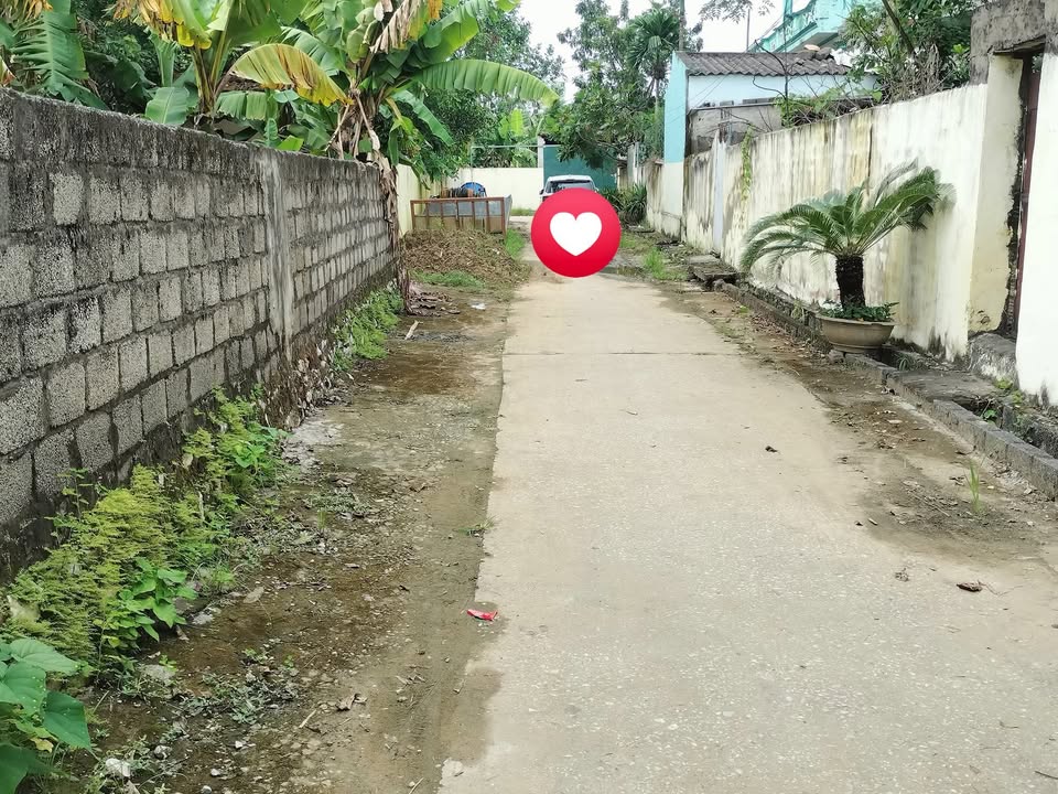 Đất thổ cư 130,8m² tại Lang Thôn, Yên Định chỉ 300 triệu - Chính chủ bán gấp!