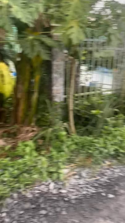 Đất nền Vĩnh Long 700m² giá 580 triệu - Cơ hội đầu tư sinh lời!