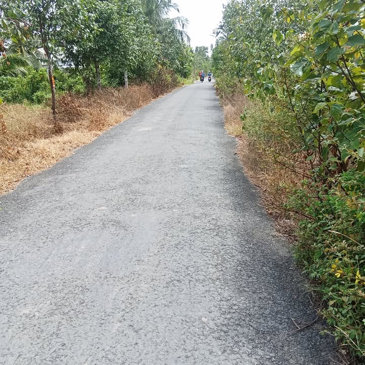 Đất nền ấp Bưng Tróp A, xã An Hiệp, 750m² giá 8.525 tỷ - Cơ hội đầu tư hấp dẫn!