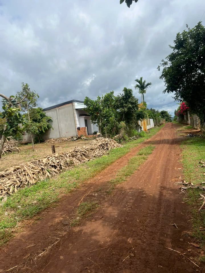 Đất nền xã Phú Xuân, Krông Năng 1200m² giá 900 triệu - Đầu tư sinh lời hấp dẫn!