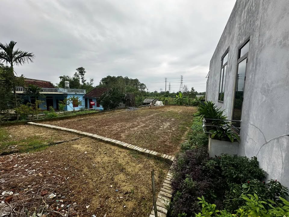 Đất nền đẹp tại thị trấn Rừng Thông, Đông Sơn, Thanh Hóa 344m² giá 3.2 tỷ - Cơ hội đầu tư sinh lời!