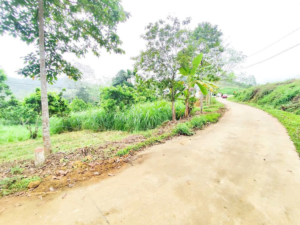 Đất nền Cự Thắng, Thanh Sơn 1.041m² giá 990 triệu - Đầu tư sinh lời ngay!