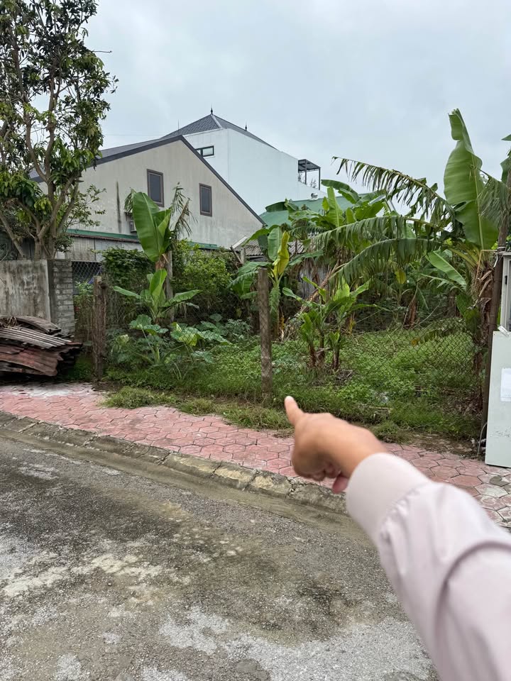 Đất Tái Định Cư Xuân Đồng Nghi Đức 150m² giá 4 tỷ - Đầu tư sinh lời ngay!