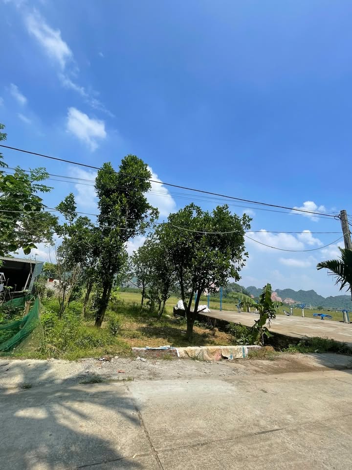 Đất nền Thanh Cao Lương Sơn 100m² giá 720 triệu - Cơ hội đầu tư sinh lời!