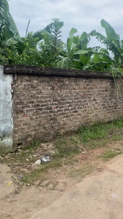 Đất thổ cư Tân Quang, Lục Ngạn, Bắc Giang 210m² - Giá đầu tư 400 triệu