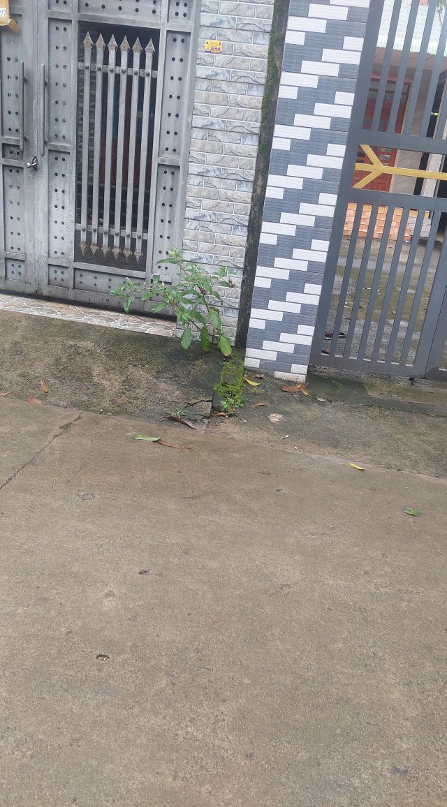 Nhà cho thuê tại Cây số 7, Vĩnh Tân, Vĩnh Cửu - Giá 2.2 triệu/tháng - Phù hợp cho gia đình!