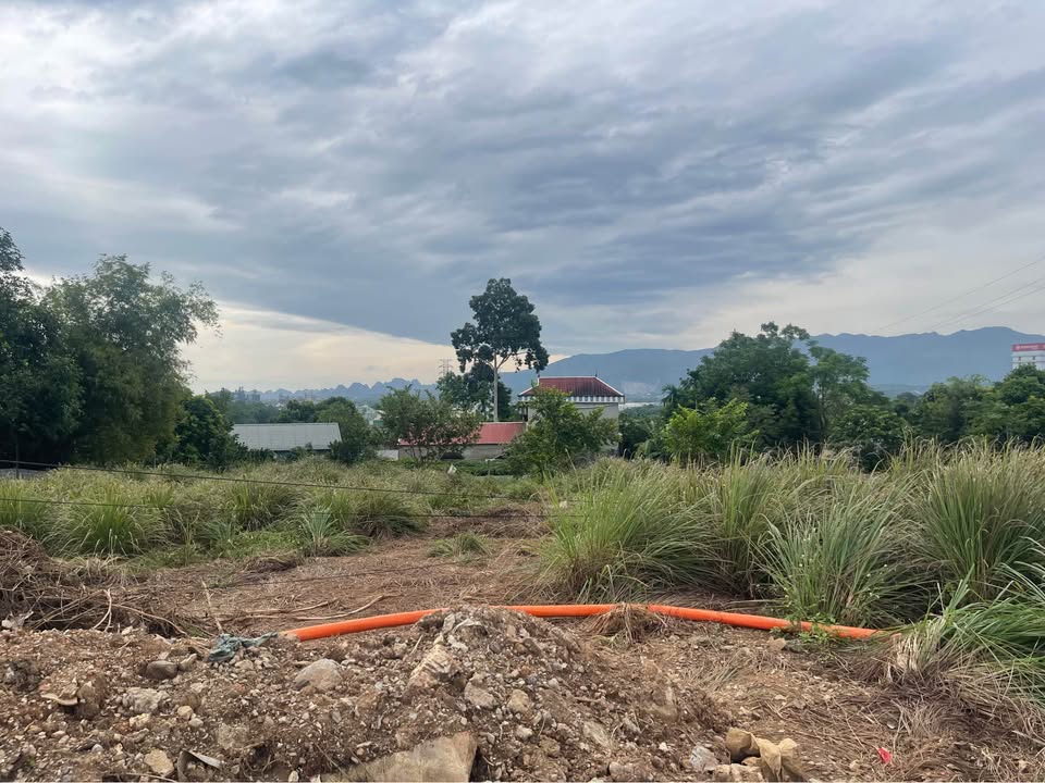 Đất nền Hòa Sơn Lương Sơn 2000m² - Vị trí đắc địa, thích hợp đầu tư!