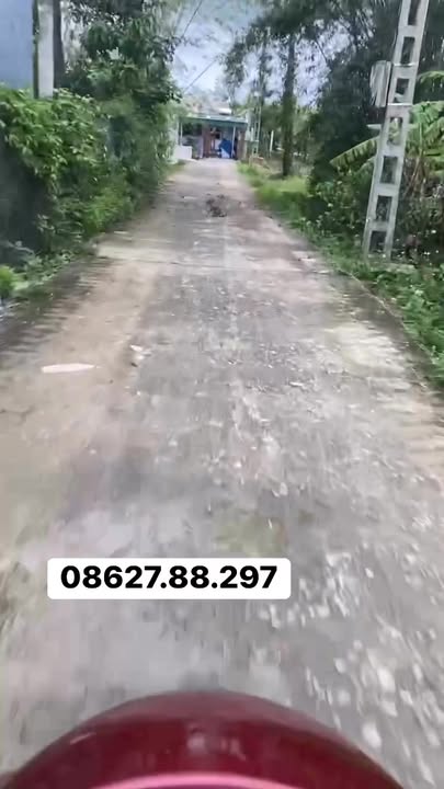 Đất nền thôn Hưng Thành, xã Cẩm Hưng, 1248m² giá 900 triệu - Đầu tư sinh lời ngay!