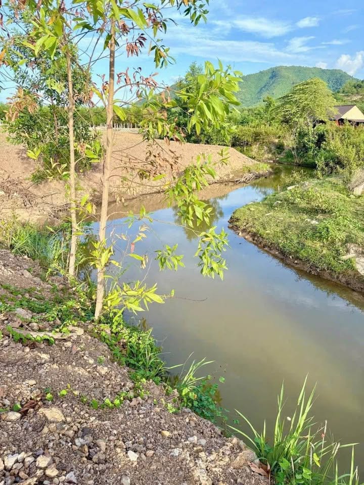 Đất thổ cư 1190m² Khánh Phú, Khánh Vĩnh giá 1.25 tỷ - Vị trí đắc địa, view suối đẹp!