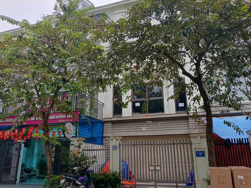 Nhà vườn khu C Geleximco Hà Đông 114m² giá 24.3 tỷ - Vị trí đắc địa gần Aeon Mall!