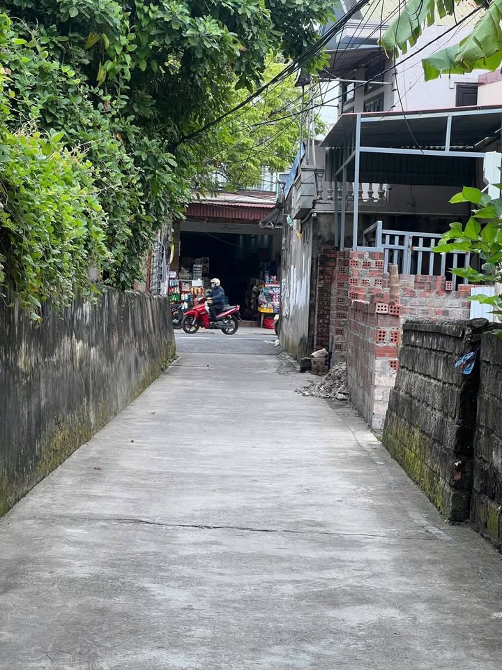 Đất thổ cư Lâm Động 80m² giá thỏa thuận - Cơ hội đầu tư sinh lời cao!