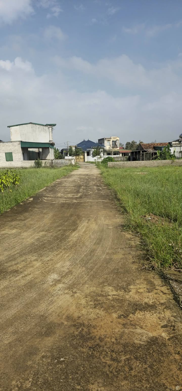 Đất nền Nghi Phong, Vinh 105m² giá 1.5 tỷ - Đường bê tông thông thoáng!