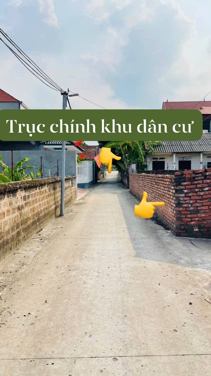 Đất nền 208m² tại Hương Nộn, Tam Nông - Vị trí đắc địa, giá thỏa thuận!