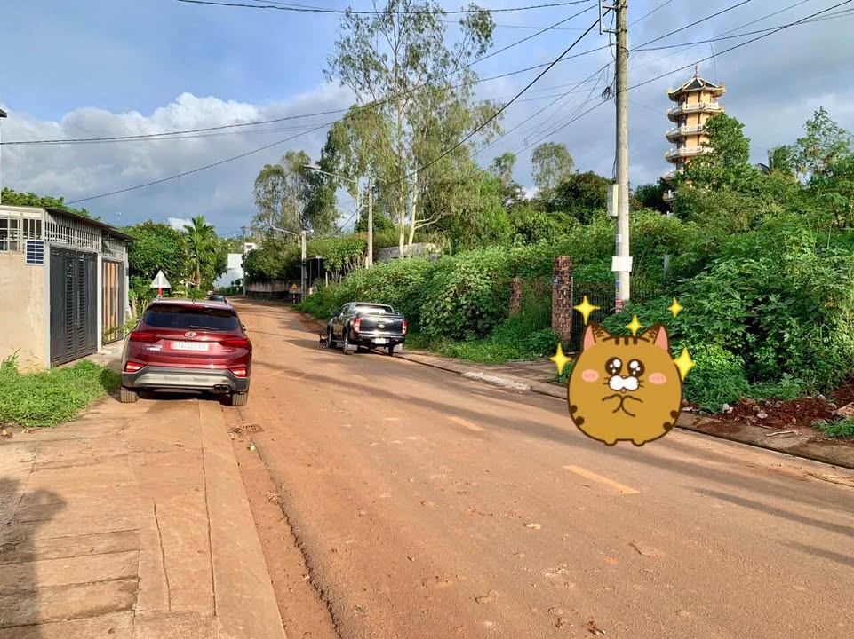 Đất mặt tiền Nguyễn Thế Lịch, Phường Phù Đổng 279m² giá 3 tỷ - Vị trí đắc địa, tiềm năng phát triển!