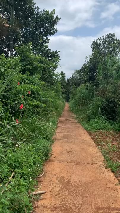 Đất nền Phú Xuân Krông Năng 1000m² giá 1.4 tỷ - Cơ hội đầu tư tuyệt vời!