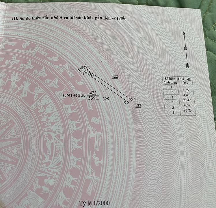 Đất nền Đắk Wer 558m² giá 445 triệu - Cơ hội đầu tư hấp dẫn!