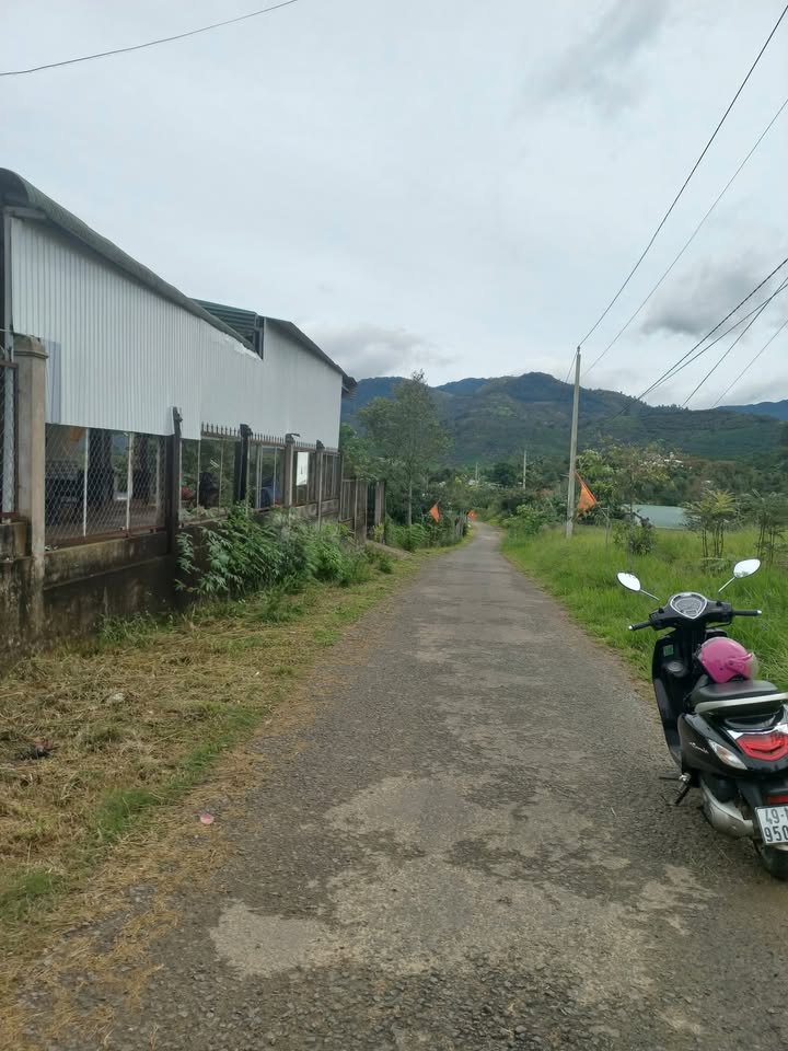 Đất Lộc Nam Bảo Lâm 262m² giá 380 triệu - Cơ hội đầu tư sinh lời!