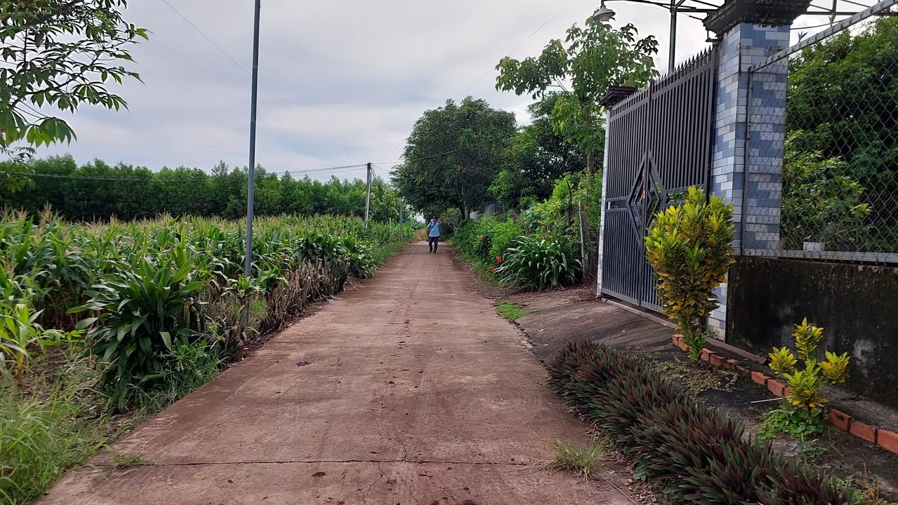 Đất nền Cẩm Mỹ Đồng Nai 4100m² giá 750 triệu - Tiềm năng phát triển lớn!