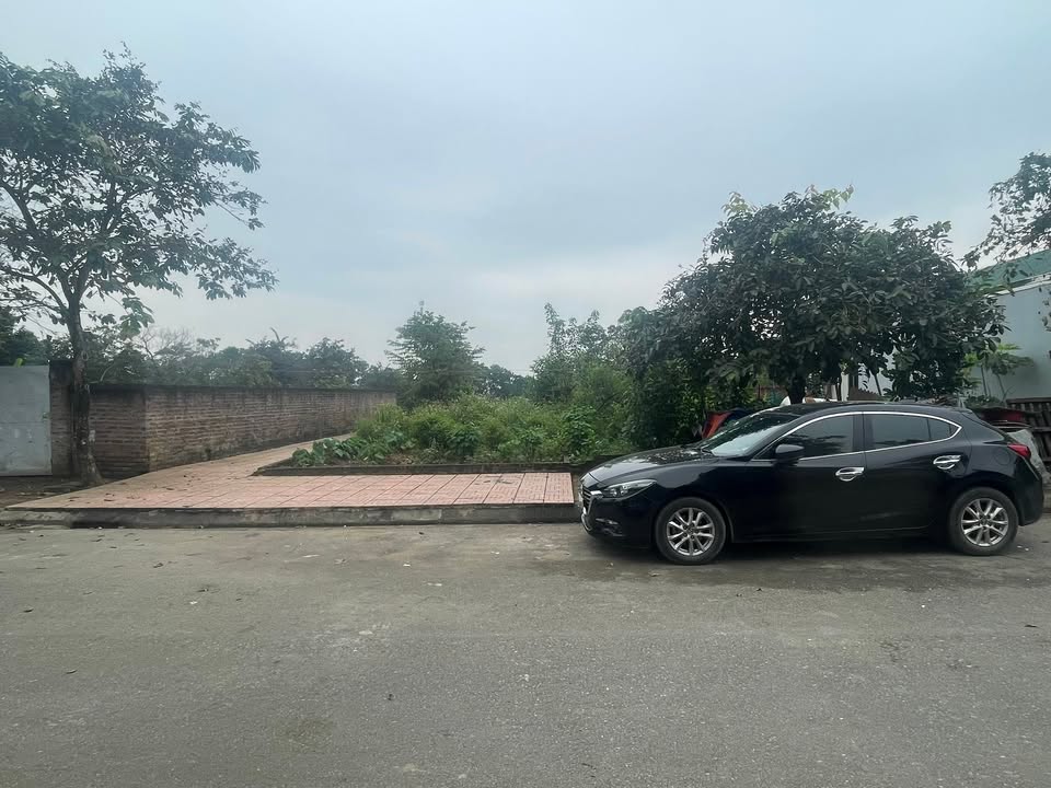 Đất nền Khu tái định cư Vai Réo 117m² giá thỏa thuận - Tiềm năng tăng giá cao!