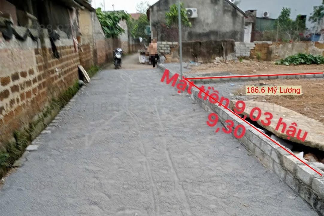 Đất thổ cư 186.6m² tại Mỹ Lương, Chương Mỹ - Đầu tư lý tưởng và an cư tuyệt vời!