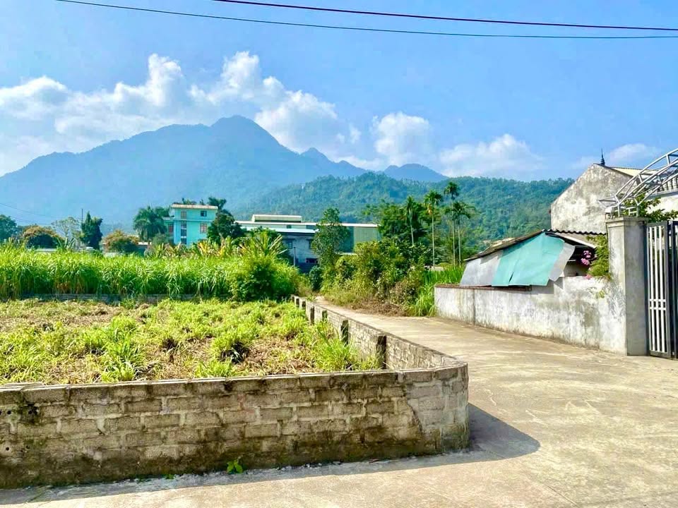 Đất Yên Bài Ba Vì 1000m² - Giá tốt, sẵn sàng ở ngay!