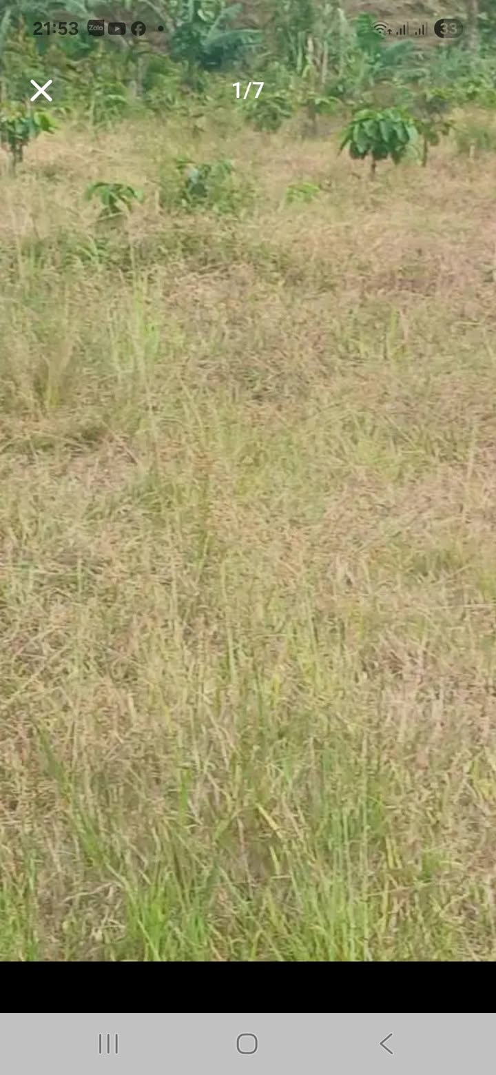 Đất thổ cư 1080m² tại Lộc Thành - Giá chỉ 3 tỷ, thương lượng ngay!