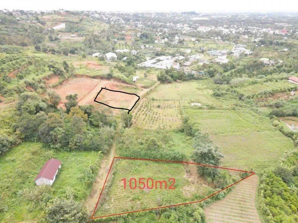 Đất mặt tiền hẻm cà phê Sunset Chill, 1068m² giá 2.49 tỷ - Cơ hội đầu tư tuyệt vời!