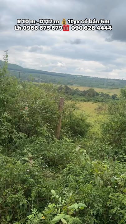 Đất nền Hẻm 1188 Trường Chinh 1120m² giá 1 tỷ - Cơ hội đầu tư sinh lời cao!