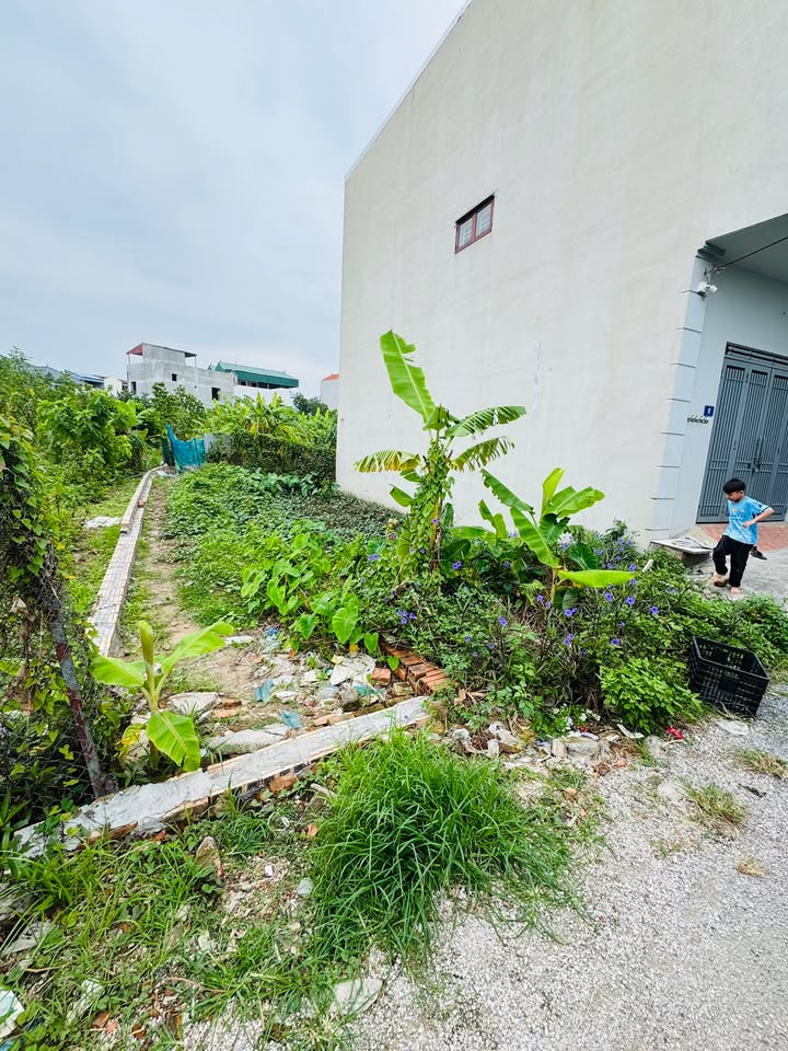 Đất nền tại Mỹ Hưng, Thanh Oai, 64m² giá 4.608 tỷ - Cơ hội đầu tư hấp dẫn!