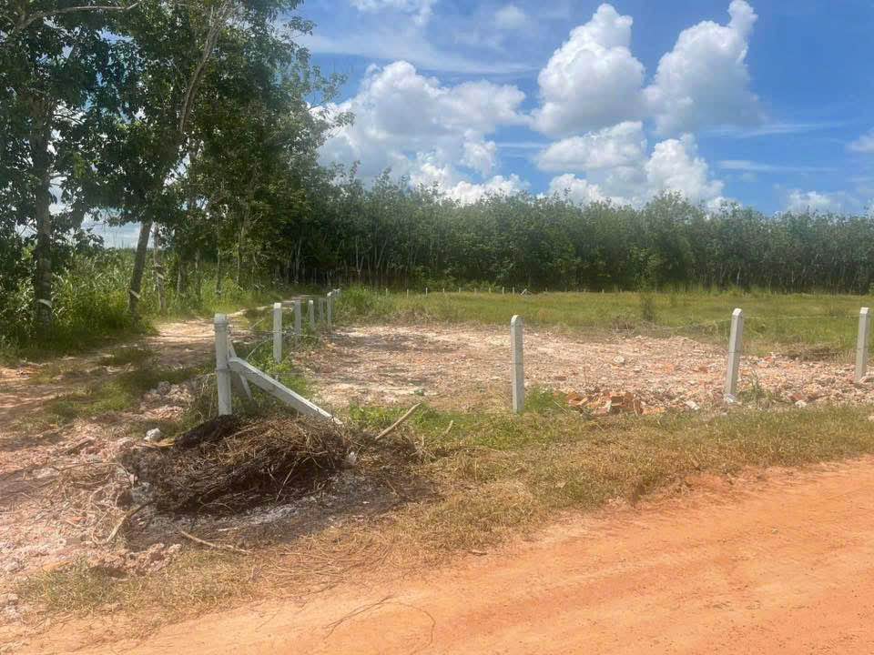 Đất nền Phước Vinh Châu Thành 64000m² giá 750 triệu - Cơ hội đầu tư hấp dẫn!