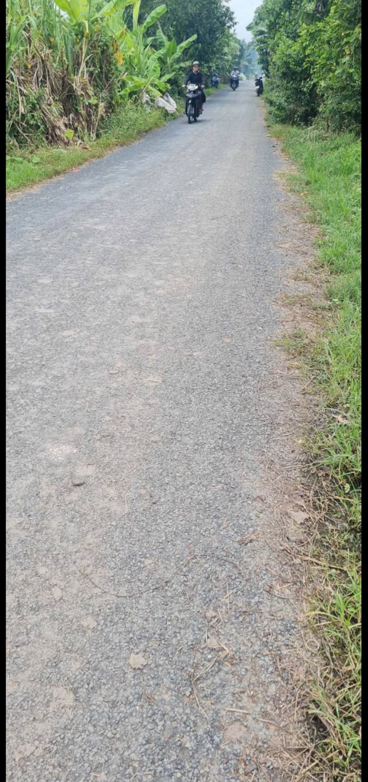 Đất ruộng 9000m² tại Tân Kiều, Tháp Mười - Thỏa thuận giá hấp dẫn!