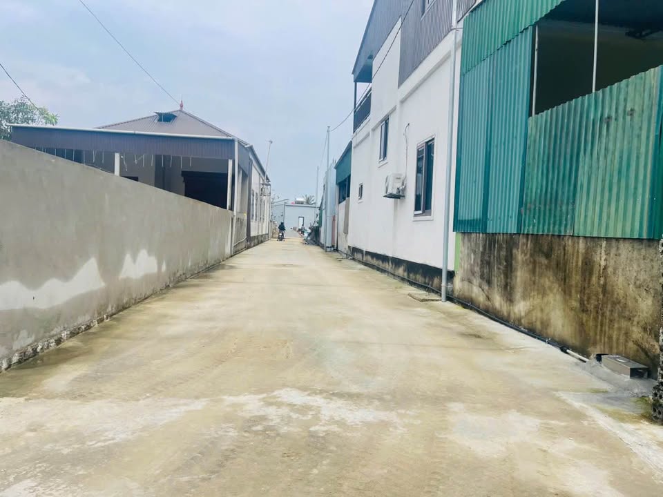 Lô đất Nghi Kim, Vinh 52m² giá 900 triệu - Đầu tư sinh lời ngay!