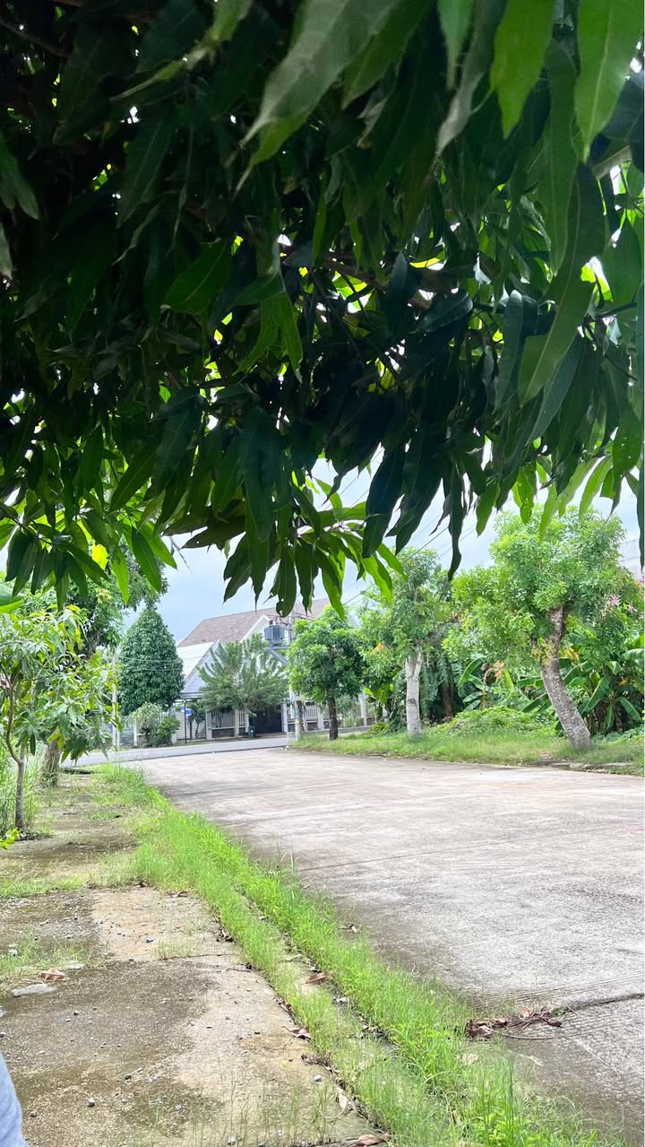 Đất nền KDC Licogi, đường Phó Đức Chính, 144m² - Vị trí đẹp gần trường chuyên