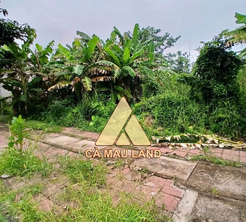 Đất nền Cà Mau 243m² giá 1 tỷ - Thổ cư toàn bộ, sổ đỏ chính chủ!