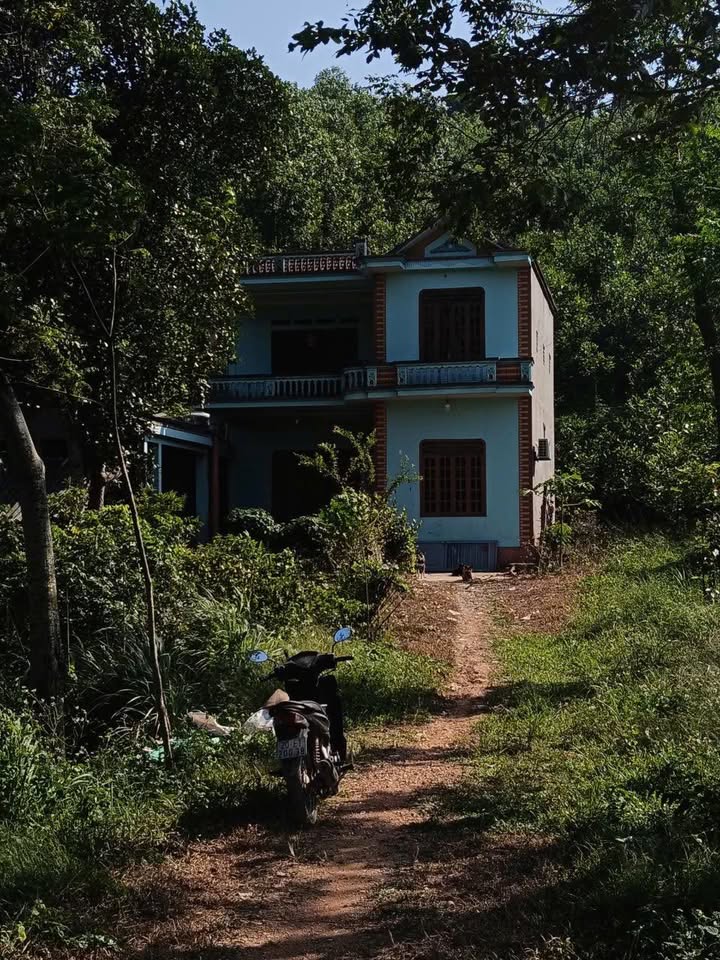 Đất thổ cư 8000m² tại Phú Đô, Phú Lương giá 1.8 tỷ - Tiềm năng đầu tư lớn!