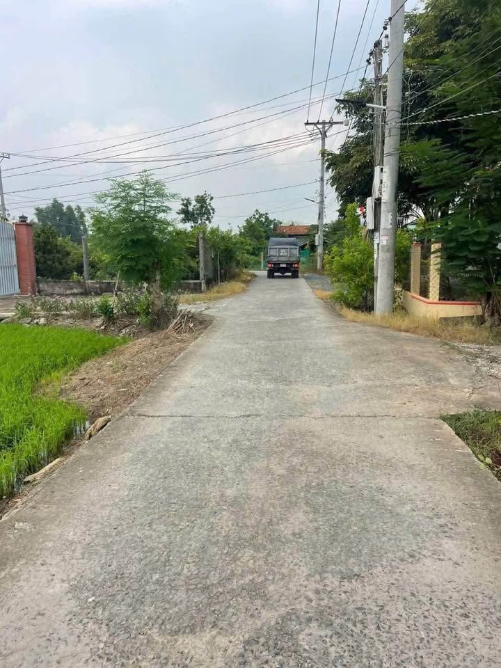 Đất nền 137m² ấp 1, xã Lạc Tấn, huyện Tân Trụ - Giá chỉ 499 triệu, đường Nguyễn Văn Tiết sắp mở rộng!