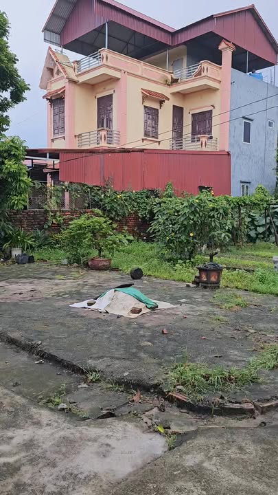 Đất Vĩnh Hồng, Bình Giang 82m² giá 8xx triệu - Lô góc 2 mặt tiền đắc địa!