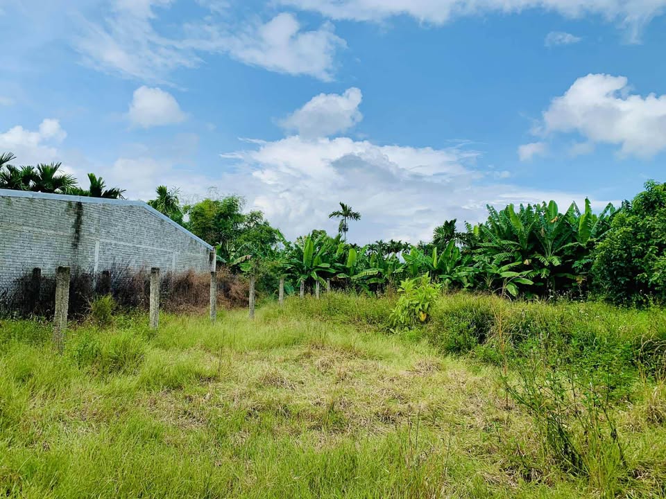 Đất liền kề Điện An, Điện Bàn 537m² giá 3.497 tỷ - Vị trí đẹp, gần chợ!