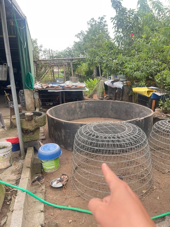 Đất nền Hồng Vân 100m² giá chỉ 300 triệu - Cơ hội đầu tư tốt!