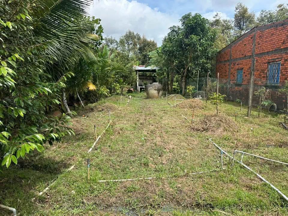 Đất nền chính chủ Hòa Nghĩa, Chợ Lách, 400m² - Sổ đỏ sang tên ngay!