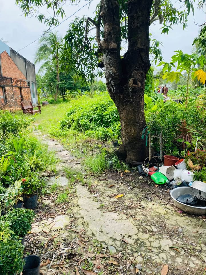 Đất nền Quới Thành, Châu Thành, Bến Tre 185m² giá 780 triệu - Cơ hội đầu tư tuyệt vời!